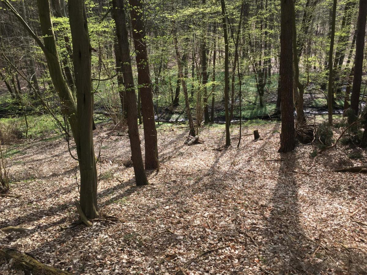 Bungalows Am Waldessaum Bei Hohenzieritz Luaran gambar